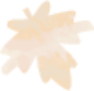 shape image